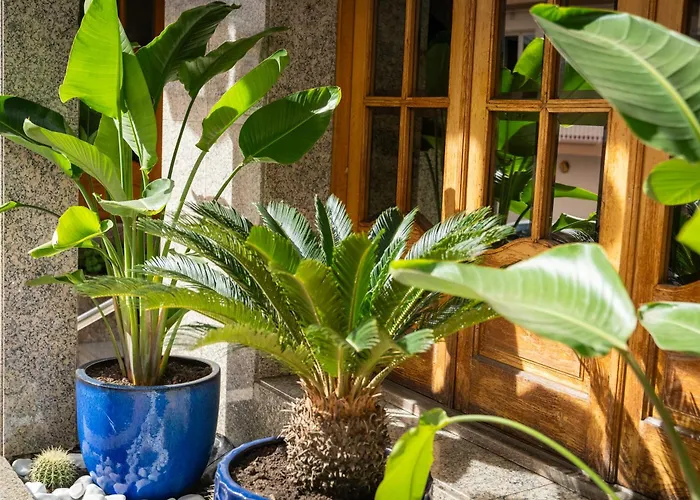 Ridomar 365 滨海略雷特